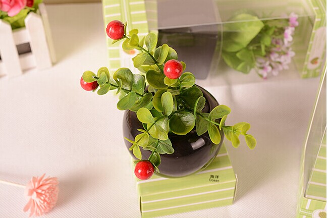A variety of plant aromatherapy essential oil sets, fresh air, a variety of fragrance home decoration full figure