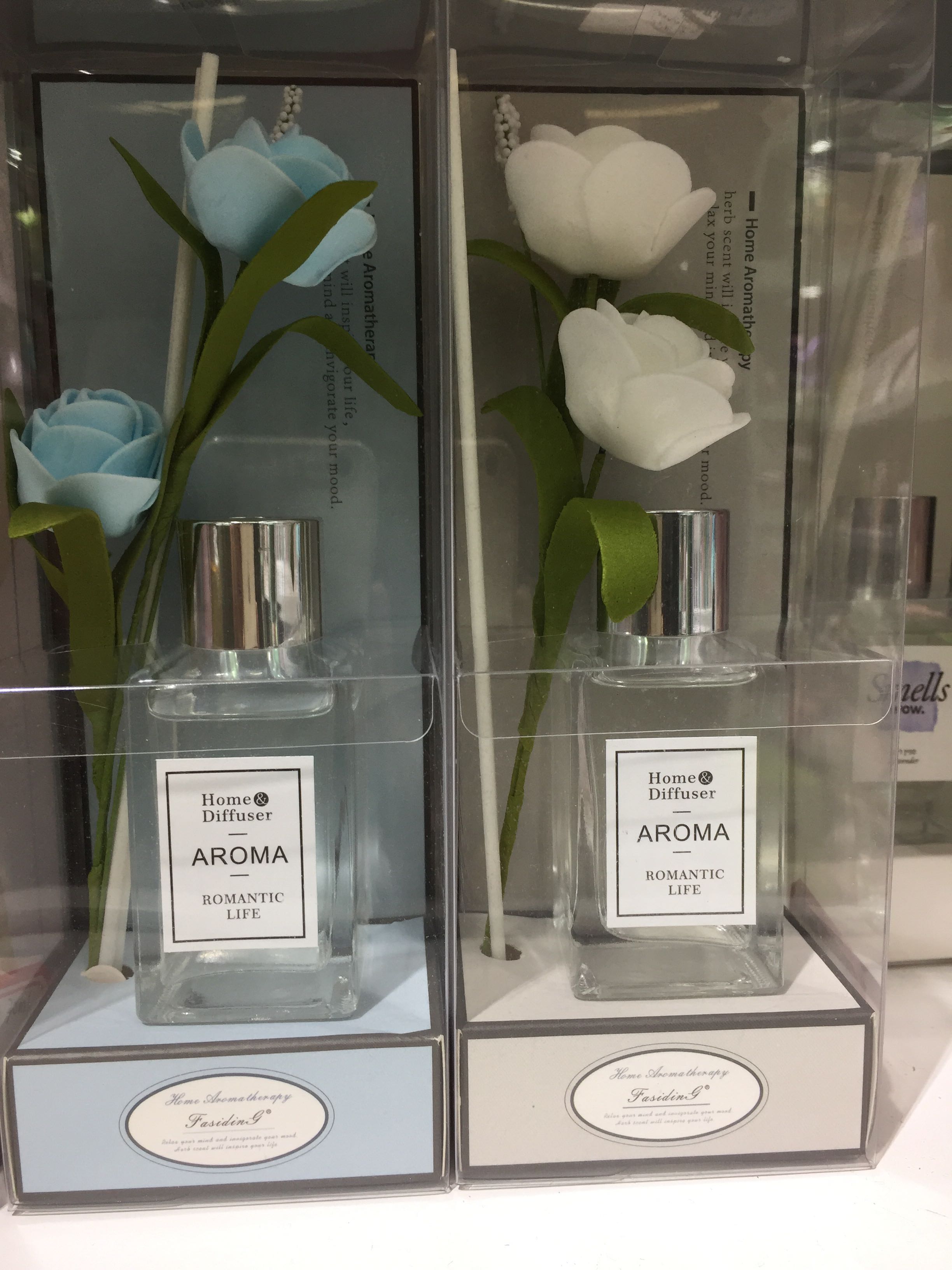 WN-1666 Aromatherapy Crafts