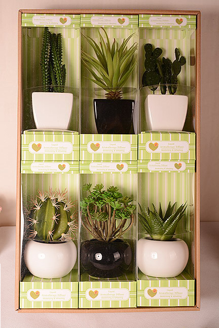 A variety of plant aromatherapy essential oil sets, fresh air, a variety of fragrance home decoration