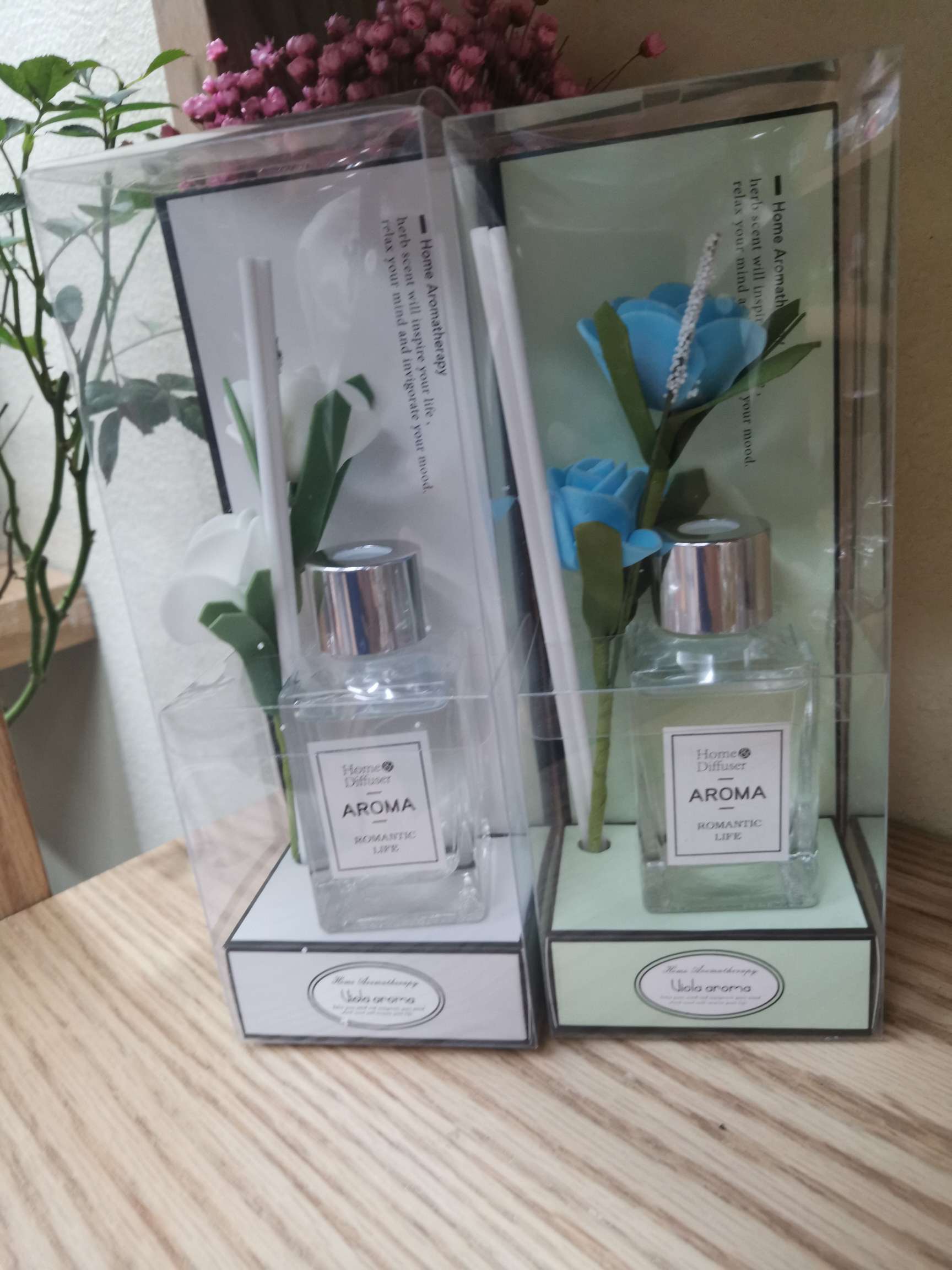 WN-1666 Aromatherapy Crafts